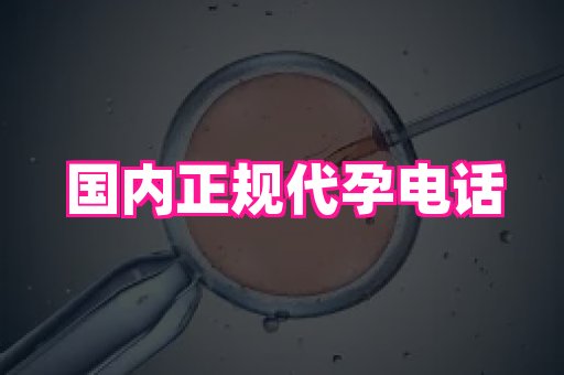 福建助孕网 2